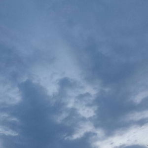 欧美美女日妣无遮挡
